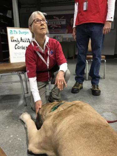 Therapy Dogs of Vermont 7