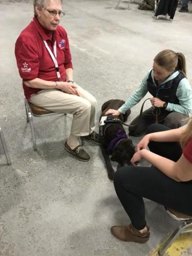 Therapy Dogs of Vermont 6