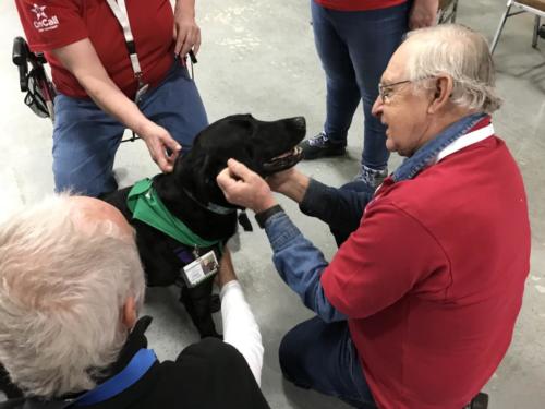 Therapy Dogs of Vermont 8