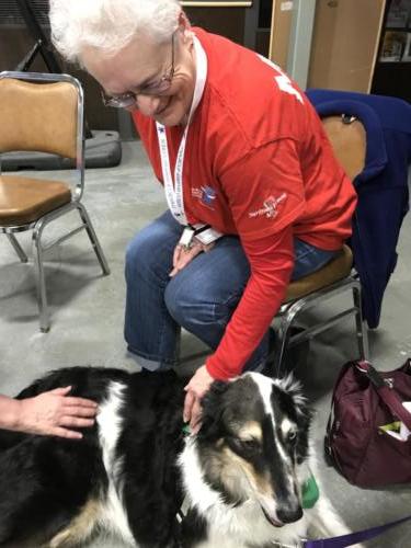 Therapy Dogs of Vermont 5